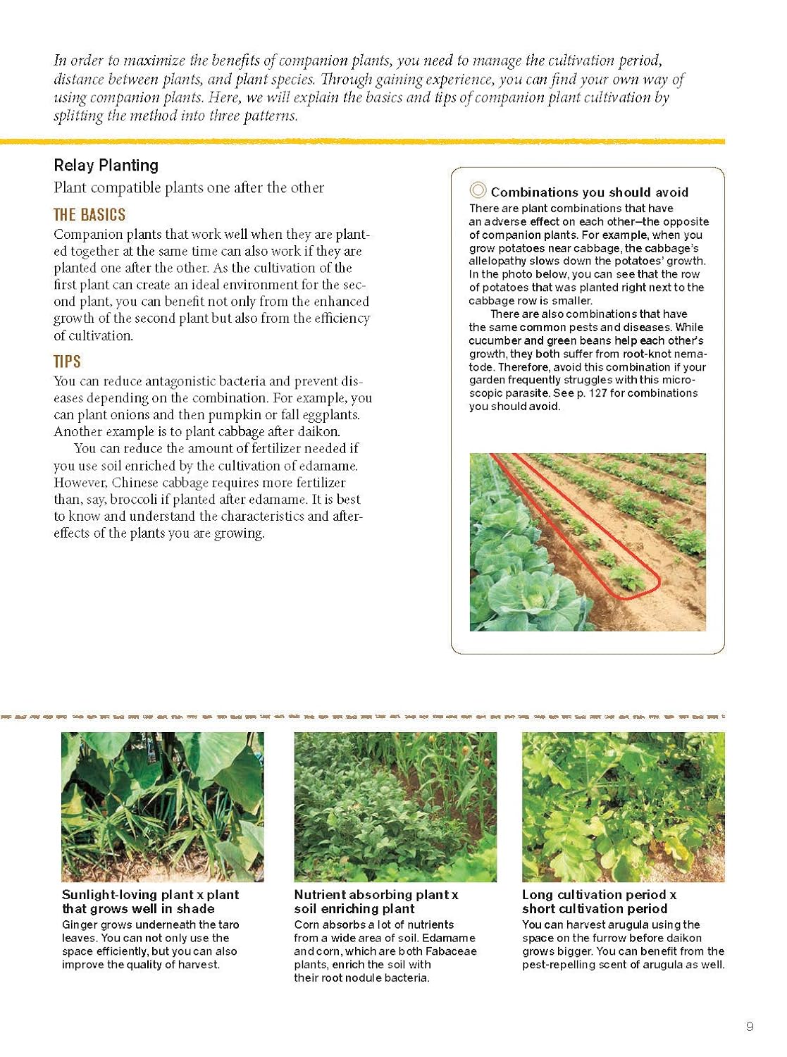 Japanese Style Companion Planting: Organic Gardening Techniques for Optimal Growth and Flavor: Organic Gardening Techniques for Optimal Growth and Flavor
