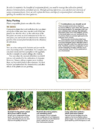 Japanese Style Companion Planting: Organic Gardening Techniques for Optimal Growth and Flavor: Organic Gardening Techniques for Optimal Growth and Flavor