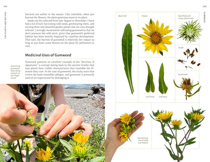 Medicinal Plants of the Pacific Northwest: A Visual Guide to Harvesting and Healing with 35 Common Species: A Visual Guide to Harvesting and Healing with 35 Common Species