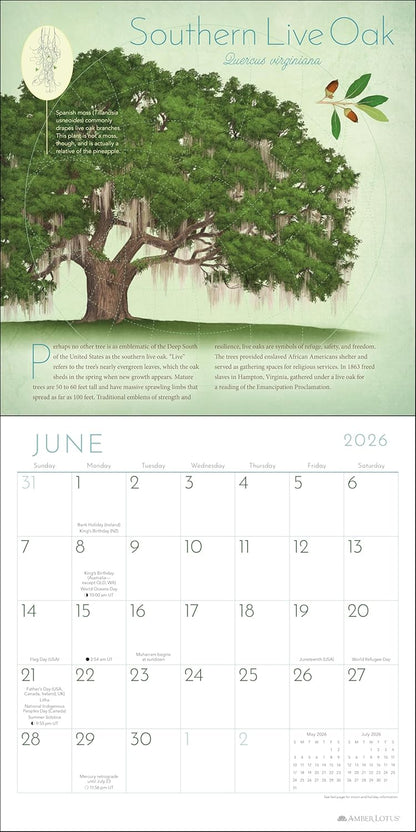 Trees of Life 2026 Wall Calendar: Celebrating the World's Sacred Species by Matt Strieby