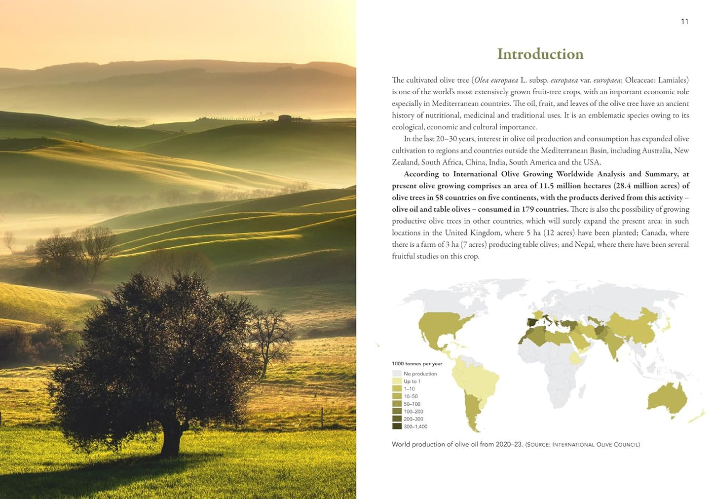 A Guide to Olive Pests & Diseases: Treating Olive Pests, Diseases and Disorders Worldwide, Growing 'Happy' Olive Trees and Reducing Reliance on Chemical Use by Dr. Vera Sergeeva