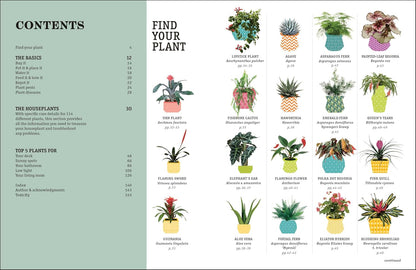 How Not to Kill Your Houseplant New Edition: Survival Tips for the Horticulturally Challenged: Survival Tips for the Horticulturally Challenged