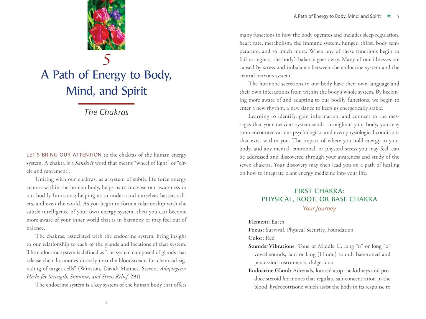 Plant Energy Medicine: The Guiding Voice and Healing Vibration of 58 Plants: The Guiding Voice and Healing Vibration of 58 Plants