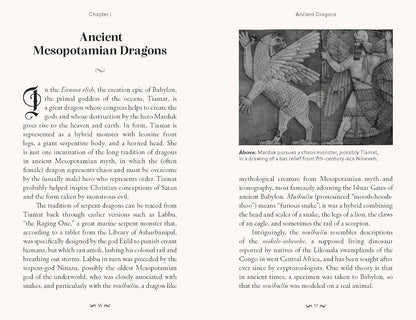 Pocket Book of Dragons by Joel Levy