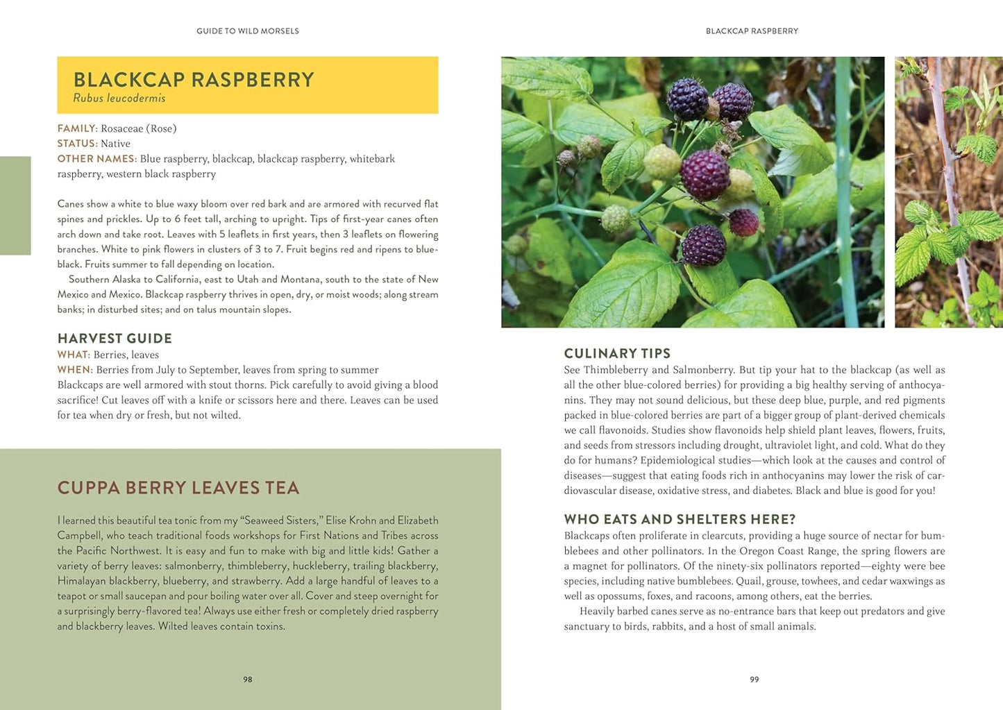Pacific Harvest: A Northwest Coast Foraging Guide