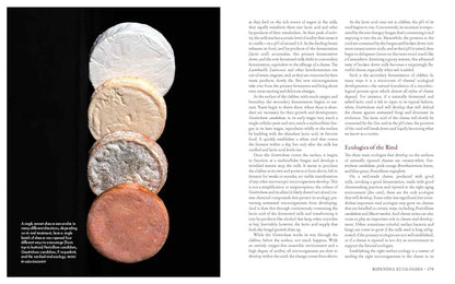 Milk Into Cheese: The Foundations of Natural Cheesemaking Using Traditional Concepts, Tools, and Techniques