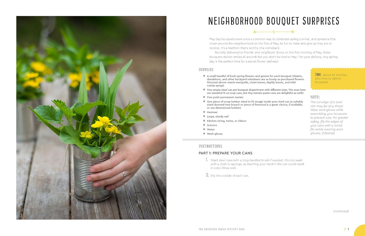 The Unplugged Family Activity Book: 60+ Simple Crafts and Recipes for Year-Round Fun by Rachel Jepson Wolf
