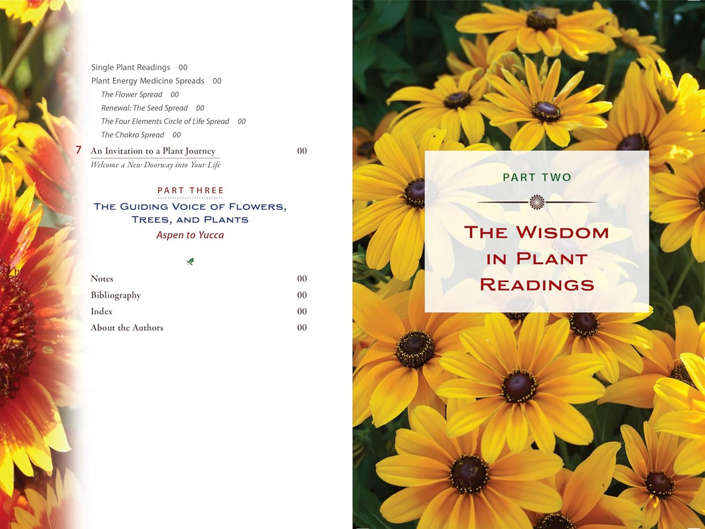 Plant Energy Medicine: The Guiding Voice and Healing Vibration of 58 Plants: The Guiding Voice and Healing Vibration of 58 Plants
