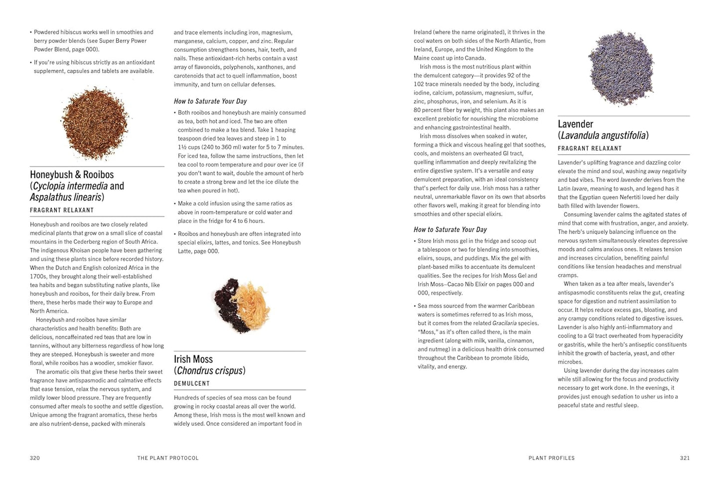 The Plant Medicine Protocol: Unlocking the Power of Plants for Optimal Health and Longevity: Unlocking the Power of Plants for Optimal Health and Longevity