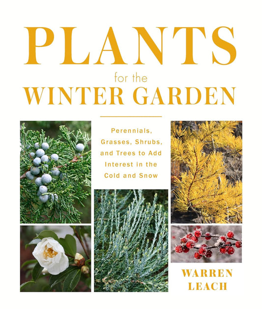 Plants for the Winter Garden: Perennials, Grasses, Shrubs, and Trees to Add Interest in the Cold and Snow: Perennials, Grasses, Shrubs, and Trees to Add Interest in the Cold and Snow