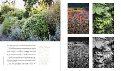 Windcliff: A Story of People, Plants, and Gardens by Daniel J Hinkley