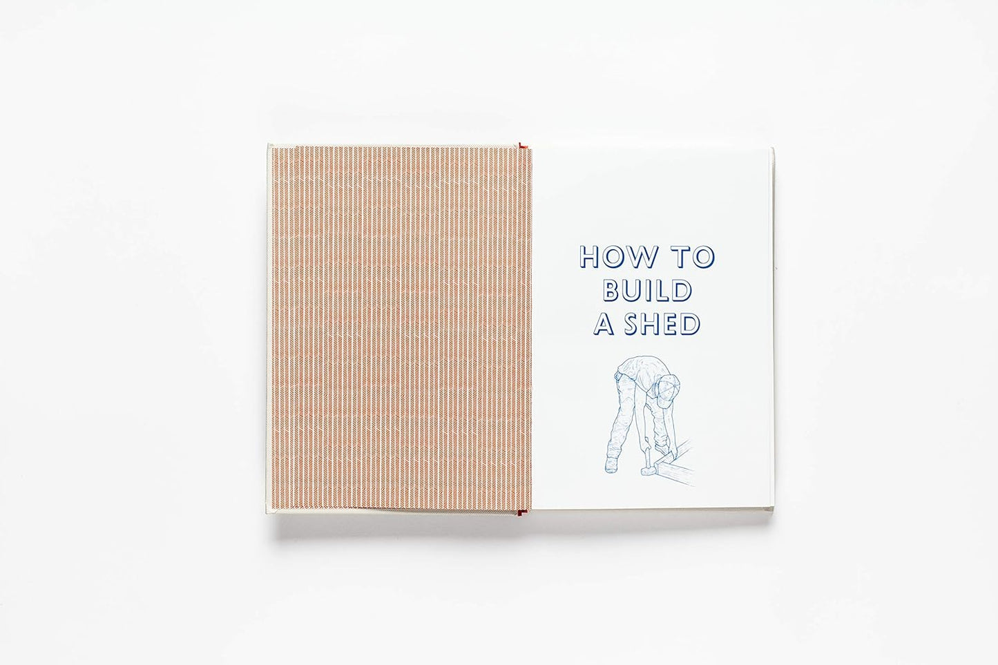 How to Build a Shed by Sally Coulthard