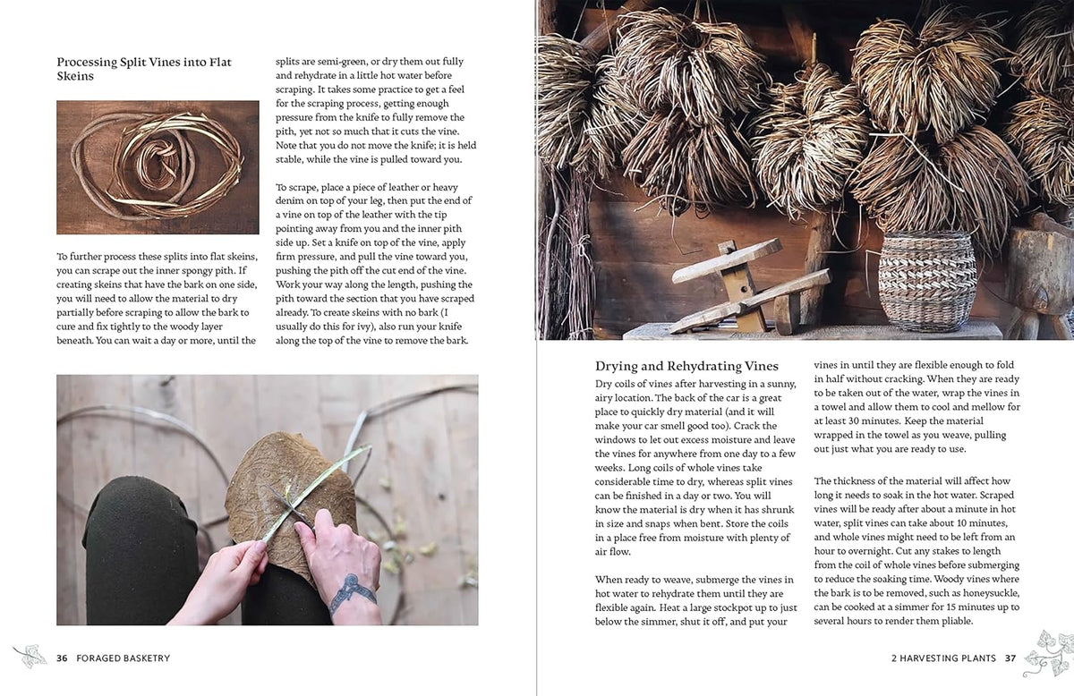 Foraged Basketry: Weaving with Wild and Invasive Plants