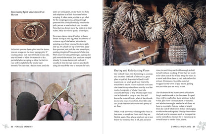 Foraged Basketry: Weaving with Wild and Invasive Plants