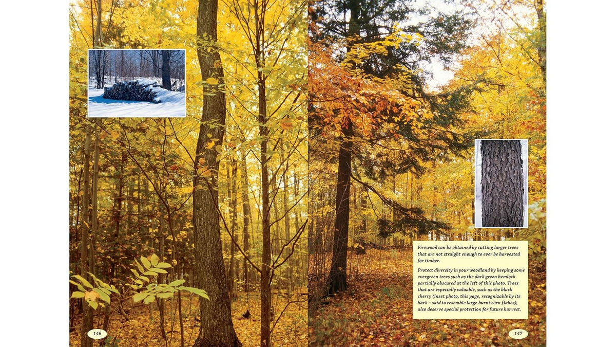 The Woodlot Management Handbook: Making the Most of Your Wooded Property for Conservation, Income or Both (Revised, Expanded)