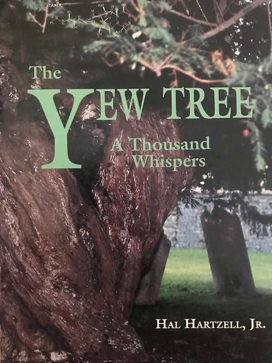The Yew Tree: A Thousand Whispers: Biography of a Species by Hal Hartzell