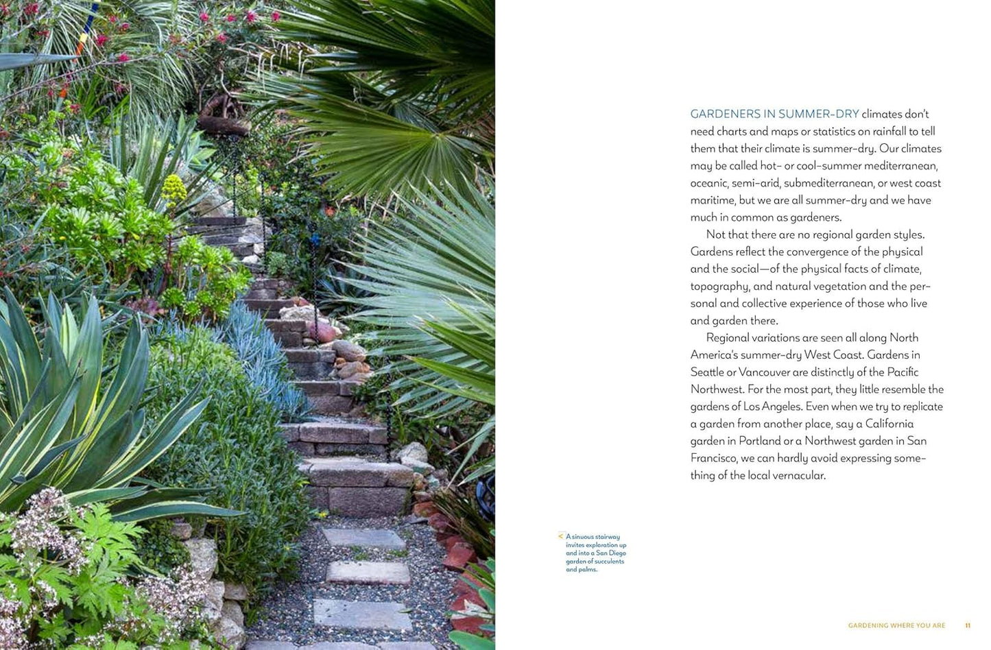 Gardening in Summer-Dry Climates: Plants for a Lush, Water-Conscious Landscape: Plants for a Lush, Water-Conscious Landscape