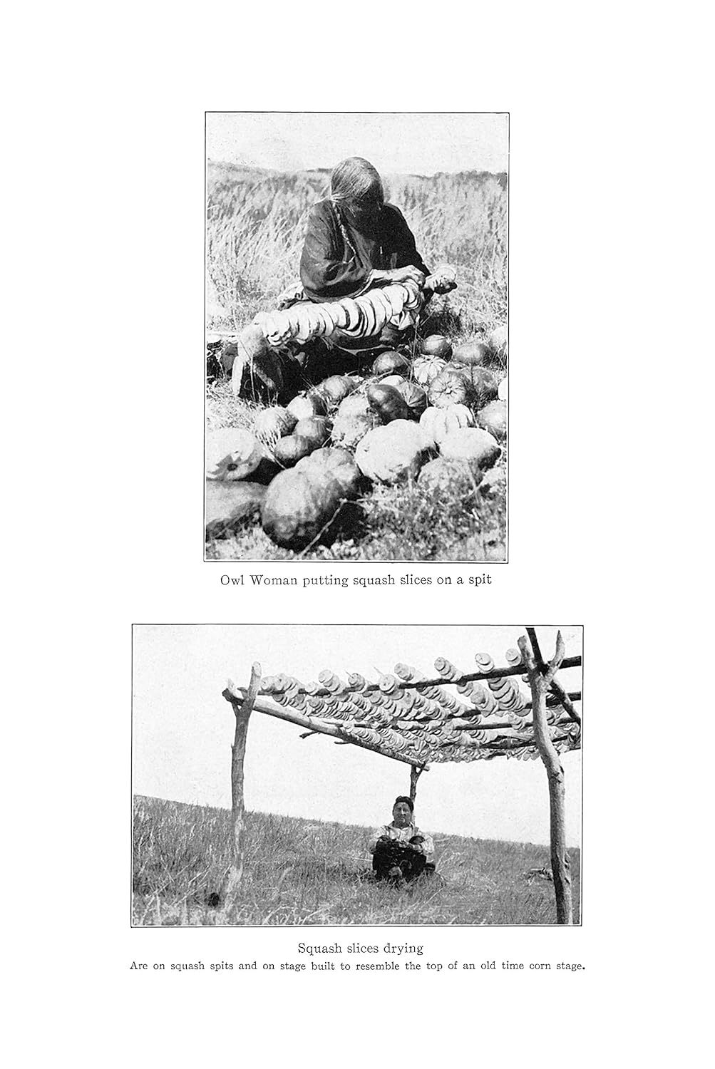 Native American Gardening: Buffalobird-Woman's Guide to Traditional Methods: Buffalobird-Woman's Guide to Traditional Methods