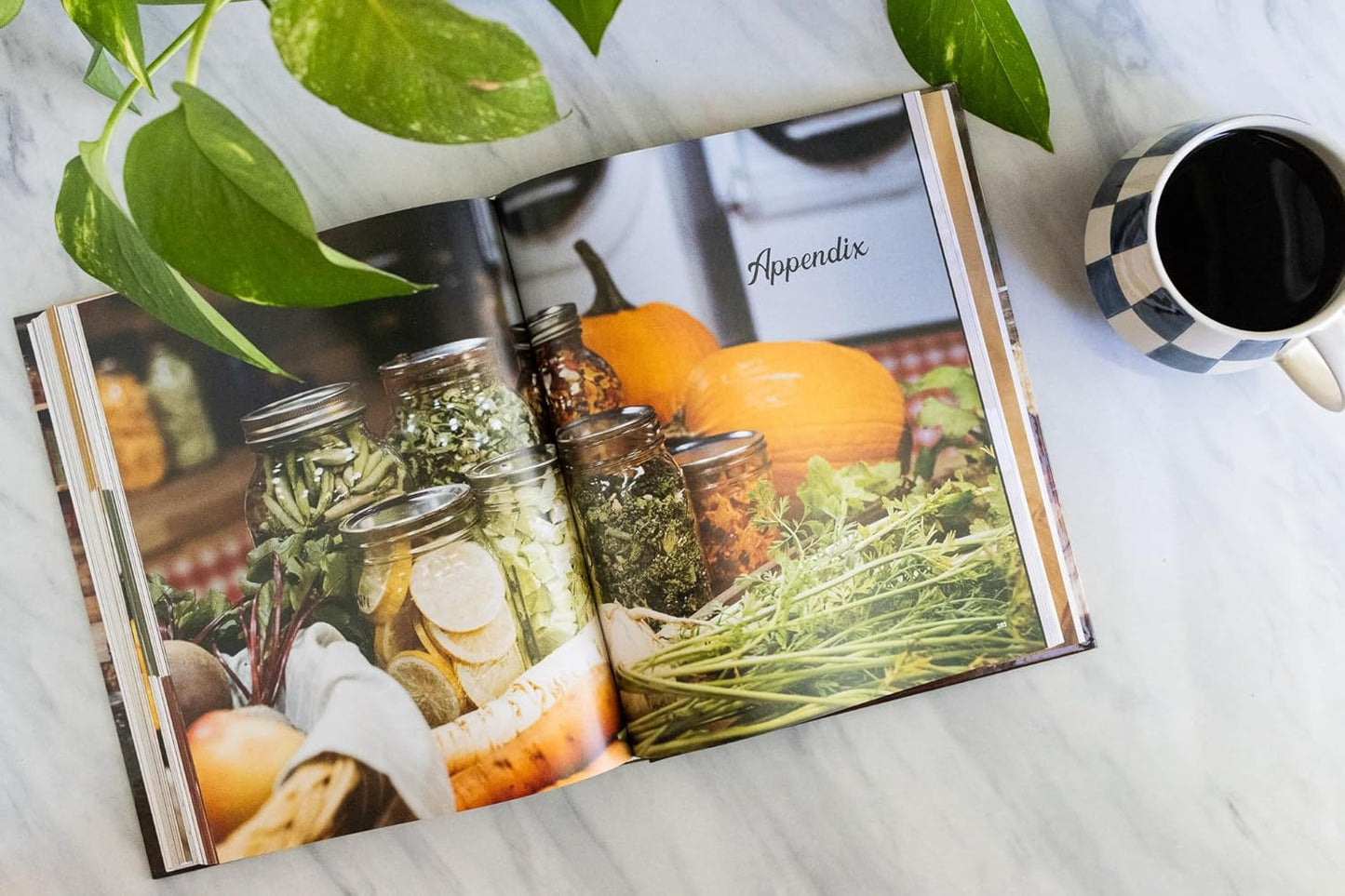 Freeze-Drying the Harvest: Preserving Food the Modern Way by Carolyn Thomas