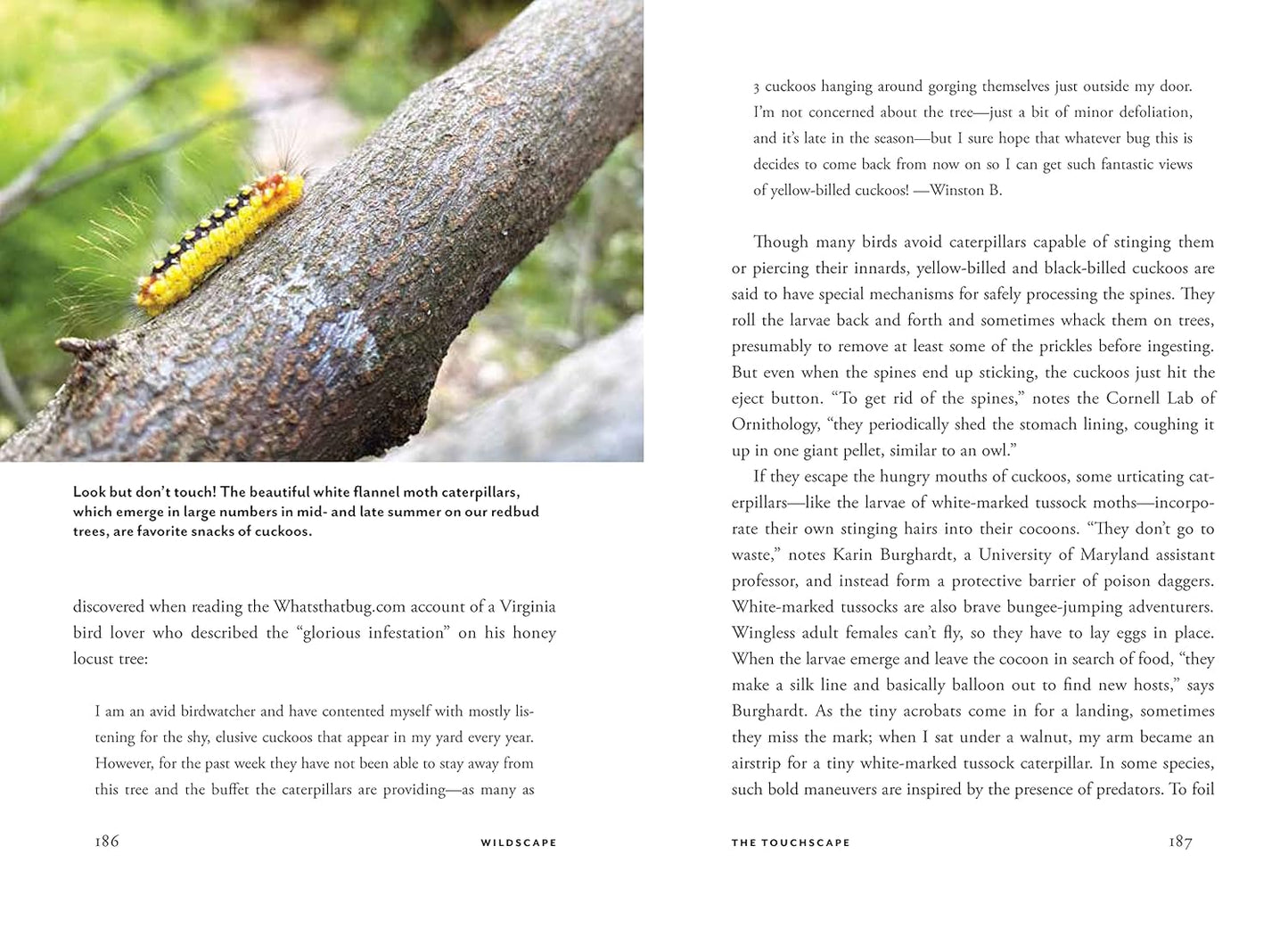 Wildscape: Trilling Chipmunks, Beckoning Blooms, Salty Butterflies, and Other Sensory Wonders of Nature by Nancy Lawson