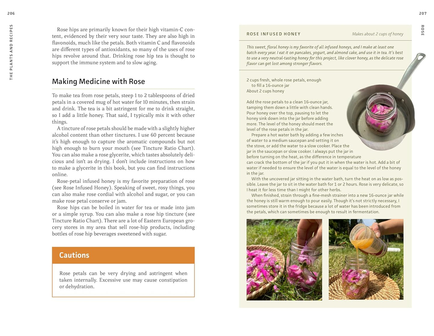 Medicinal Plants of the Pacific Northwest: A Visual Guide to Harvesting and Healing with 35 Common Species: A Visual Guide to Harvesting and Healing with 35 Common Species
