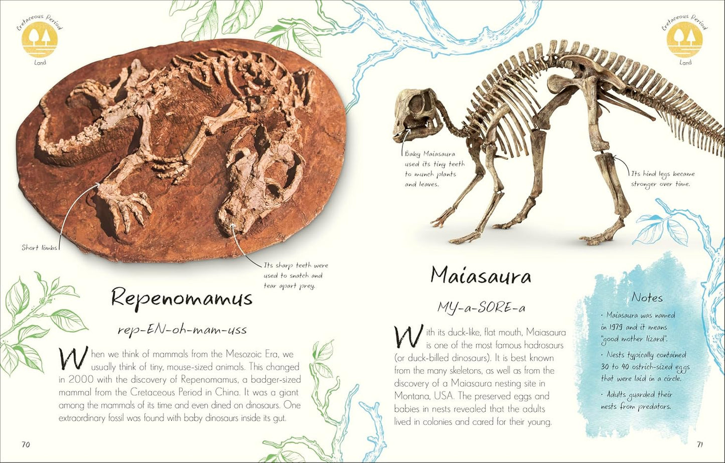 An Anthology of Fossils: A Collection of Plant and Animal Fossils from Around the World