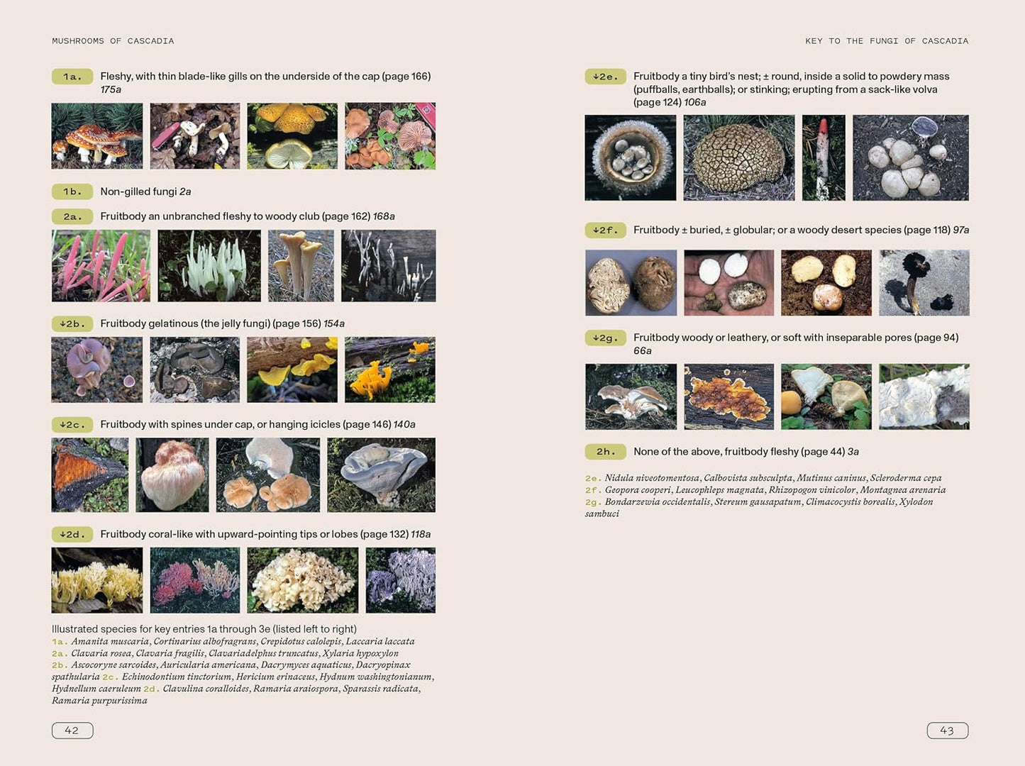 Mushrooms of Cascadia, Second Edition: An Illustrated Key to the Fungi of the Pacific Northwest: An Illustrated Key to the Fungi of the Pacific Northwest