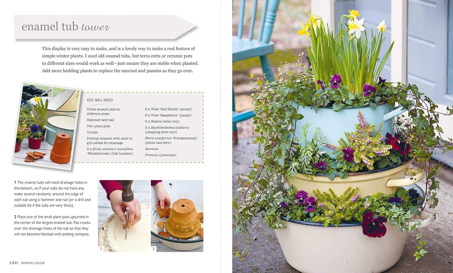 The Winter Garden: Over 35 Step-By-Step Projects for Small Spaces Using Foliage and Flowers, Berries and Blooms, and Herbs and Produce: Over 35 Step-By-Step Projects for Small Spaces Using Foliage and Flowers, Berries and Blooms, and Herbs and Produce