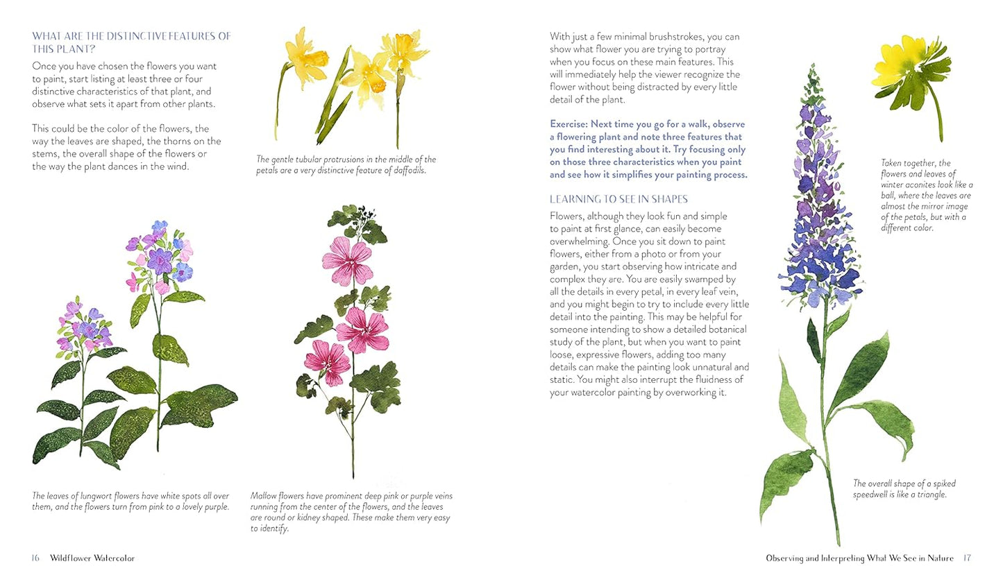 Wildflower Watercolor: The Beginner's Guide to Painting Beautiful Florals: The Beginner's Guide to Painting Beautiful Florals
