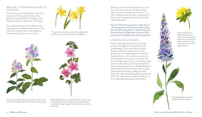 Wildflower Watercolor: The Beginner's Guide to Painting Beautiful Florals: The Beginner's Guide to Painting Beautiful Florals