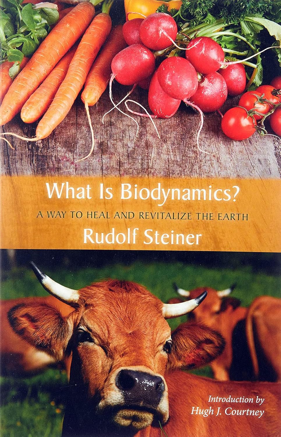 What Is Biodynamics?: A Way to Heal and Revitalize the Earth: A Way to Heal and Revitalize the Earth
