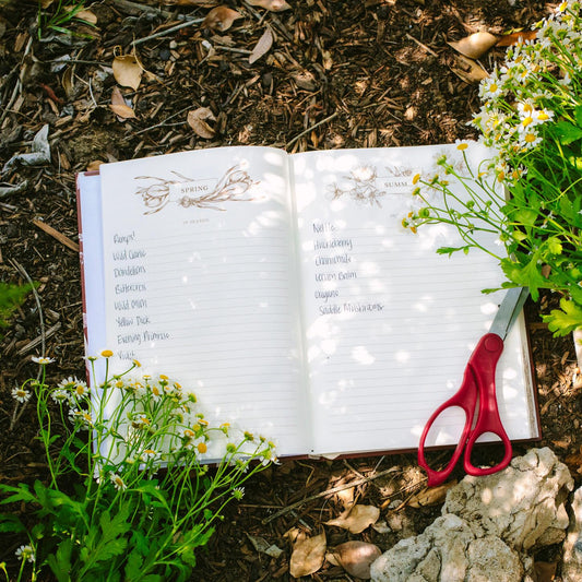 Gather: A Foraging Journal by Maggie Enterrios