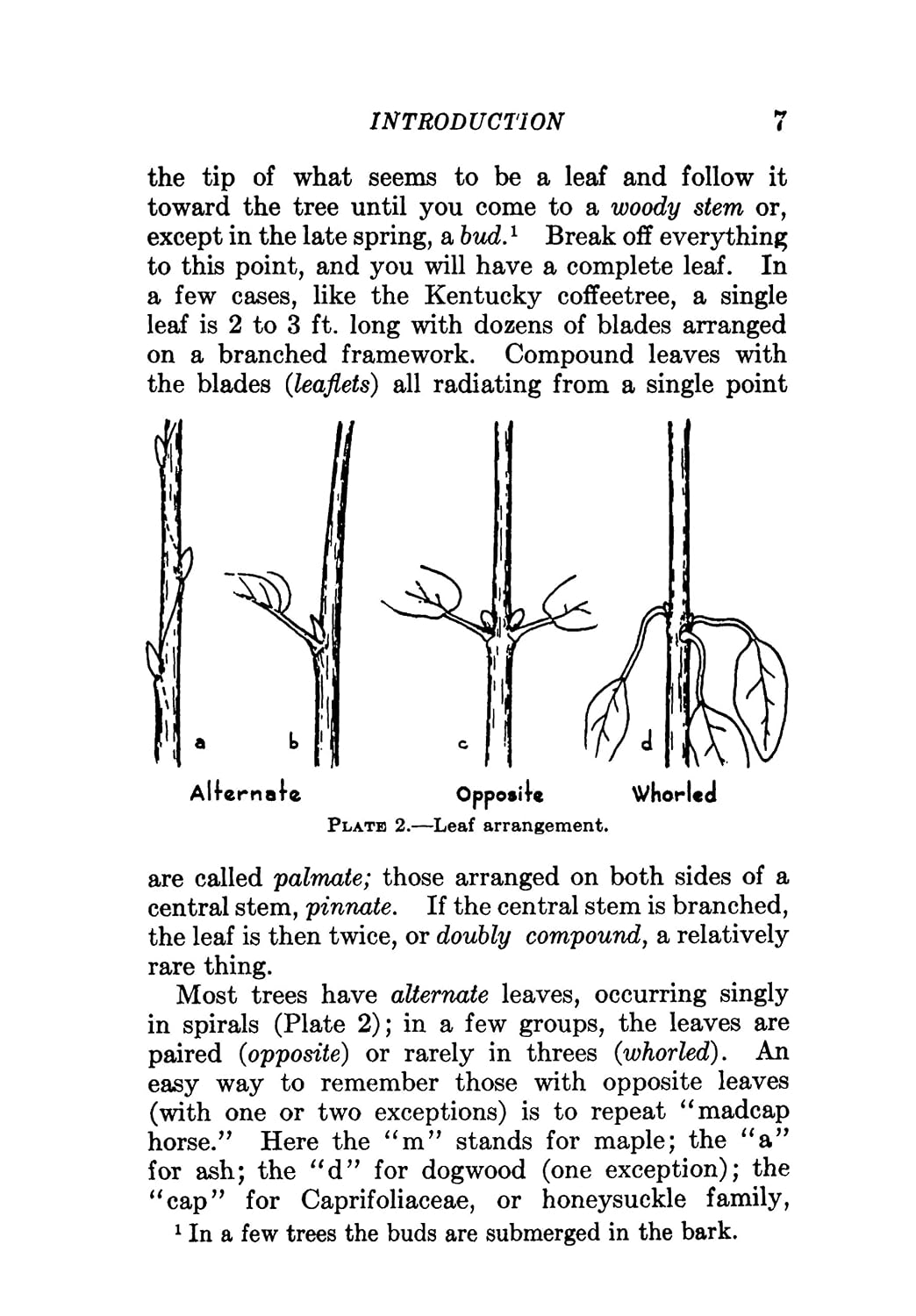 Trees of the Eastern and Central United States and Canada: The Identification, Habits, Distribution, Woodlore and Uses of Conifers and Hardwoods, Both