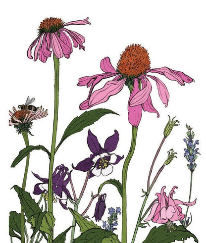 Planting with Nature: A Guide to Sustainable Gardening