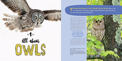 Owling: Enter the World of the Mysterious Birds of the Night by Mark Wilson