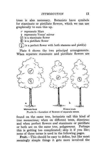 Trees of the Eastern and Central United States and Canada: The Identification, Habits, Distribution, Woodlore and Uses of Conifers and Hardwoods, Both