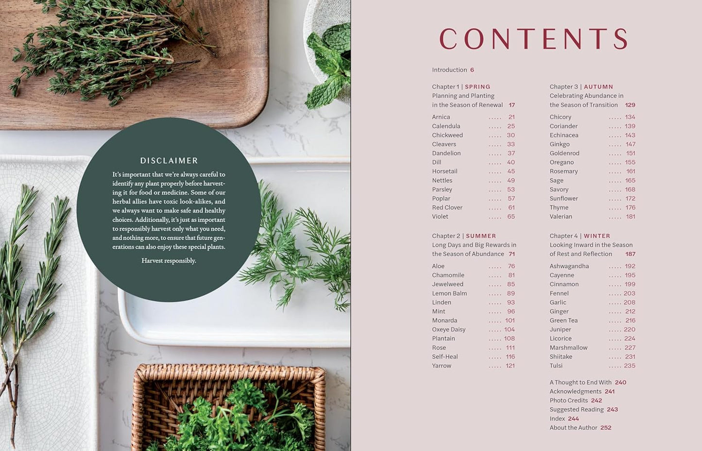 Herbs in Every Season: 48 Edible and Medicinal Herbs for the Kitchen, Garden, and Apothecary