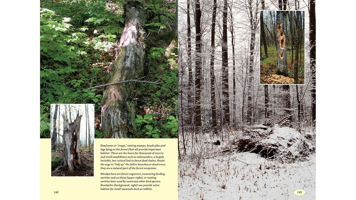 The Woodlot Management Handbook: Making the Most of Your Wooded Property for Conservation, Income or Both (Revised, Expanded)