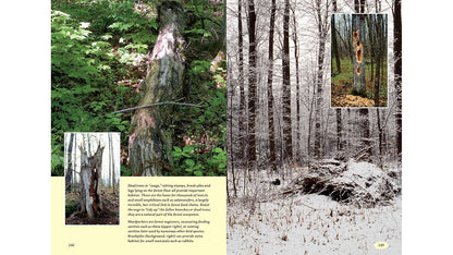 The Woodlot Management Handbook: Making the Most of Your Wooded Property for Conservation, Income or Both (Revised, Expanded)