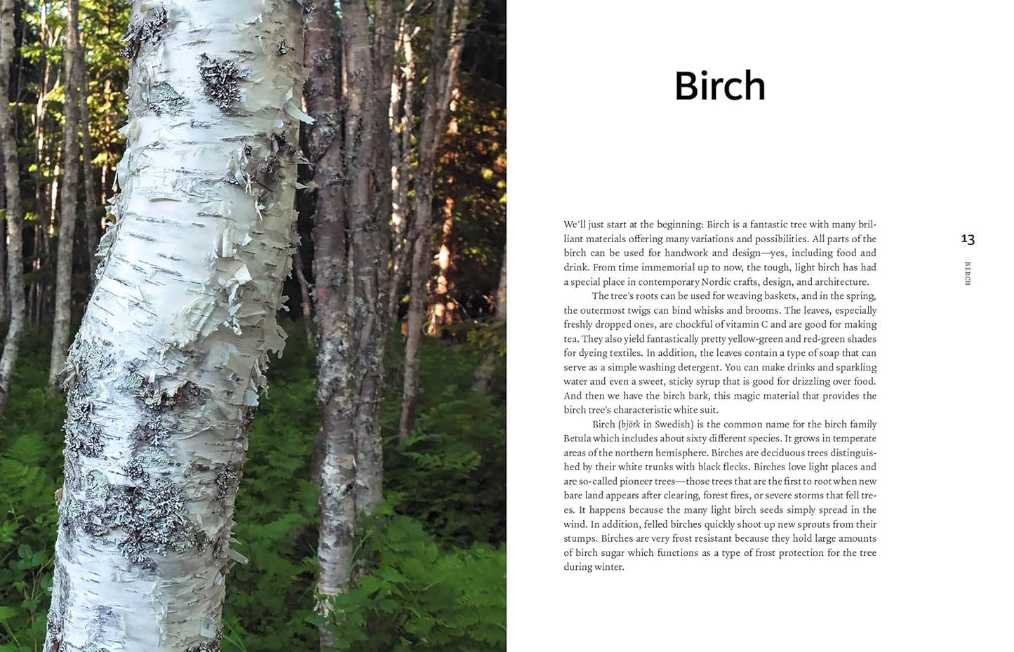 *Bark Craft: 14 Rustic Birch Bark Projects to Weave, Join & Fold by Emma Dahlqvist