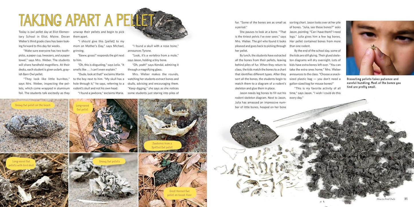 Owling: Enter the World of the Mysterious Birds of the Night by Mark Wilson