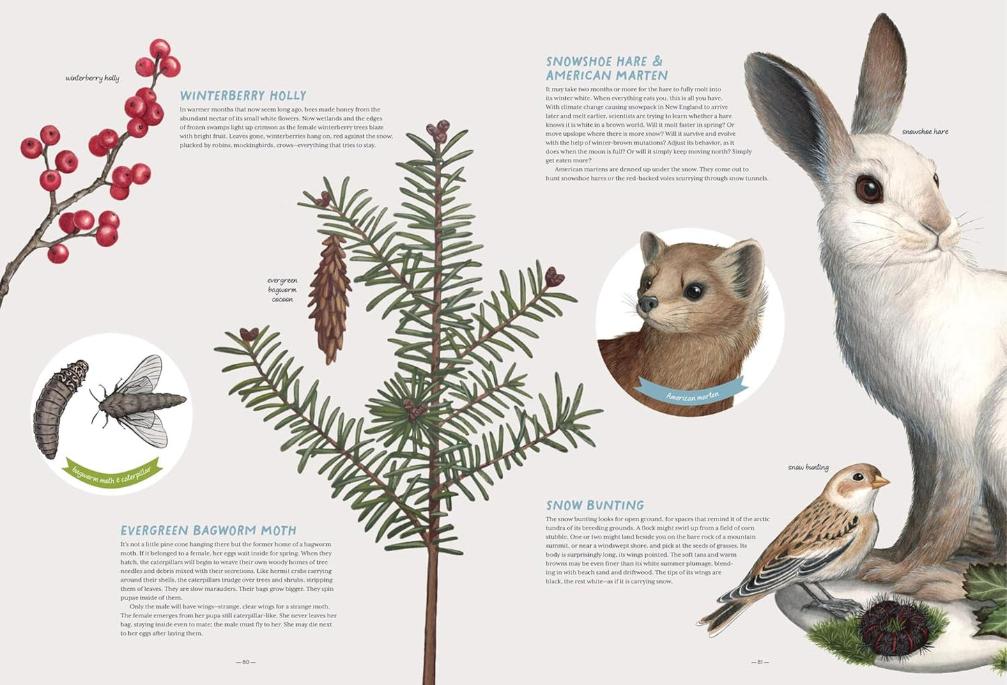 The Forest Revealed: An Illustrated Year by Jada Fitch & Kateri Kosek