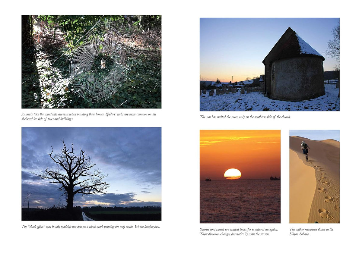 The Natural Navigator: The Rediscovered Art of Letting Nature Be Your Guide (10th Anniversary Edition)