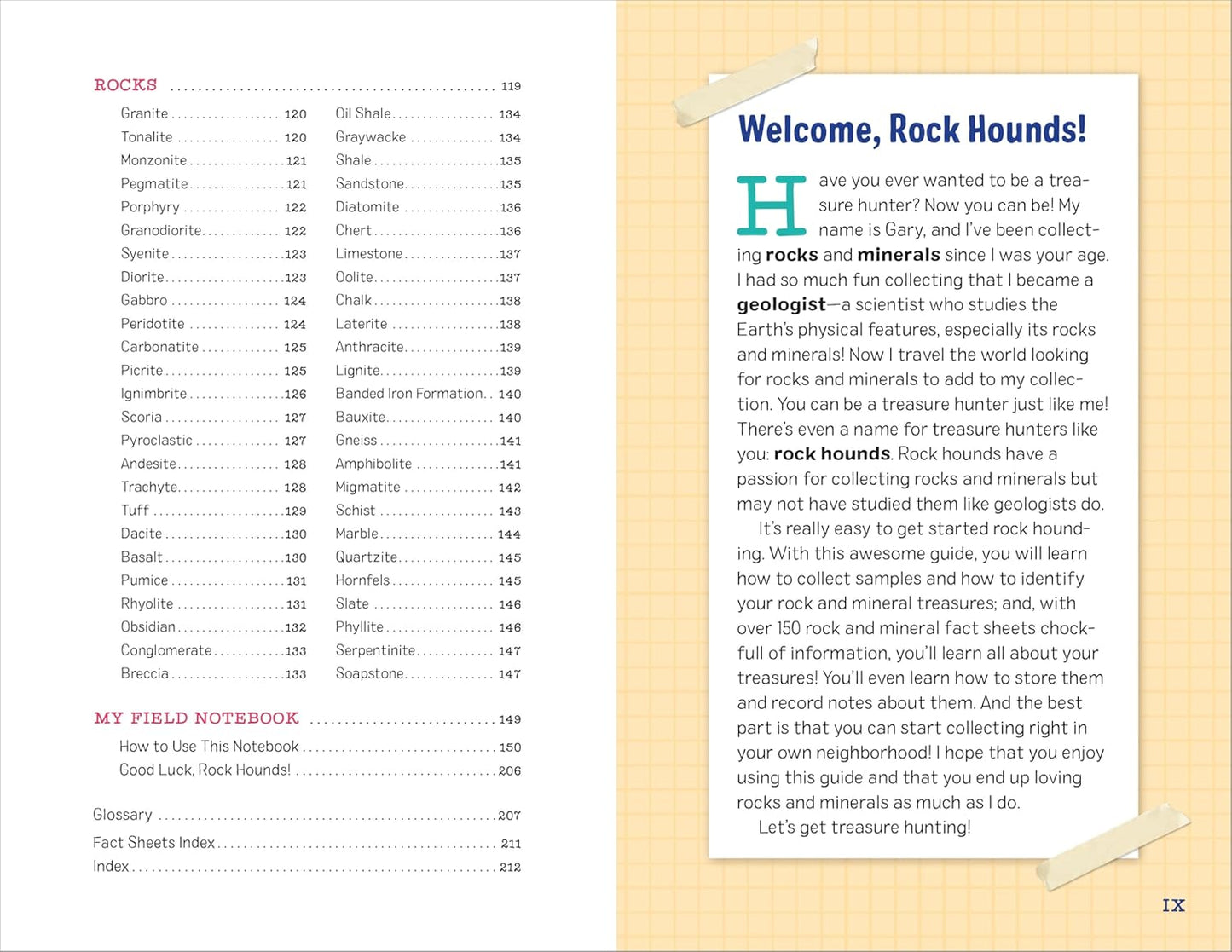 My Awesome Field Guide to Rocks and Minerals: Track and Identify Your Treasures: Track and Identify Your Treasures