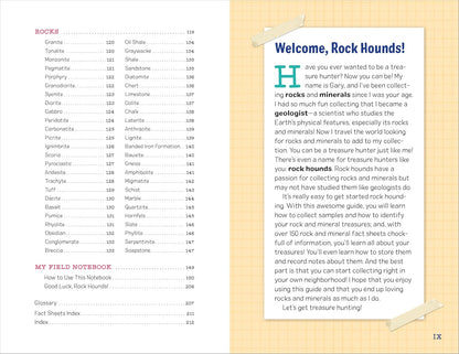 My Awesome Field Guide to Rocks and Minerals: Track and Identify Your Treasures: Track and Identify Your Treasures
