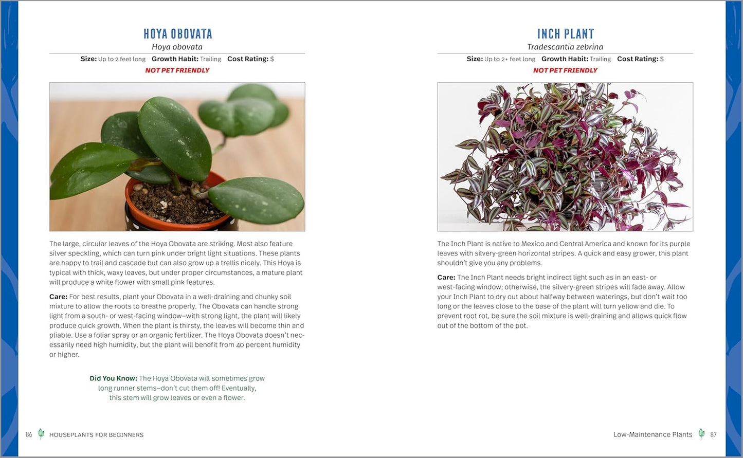 Houseplants for Beginners: A Practical Guide to Choosing, Growing, and Helping Your Plants Thrive: A Practical Guide to Choosing, Growing, and Helping Your Plants Thrive