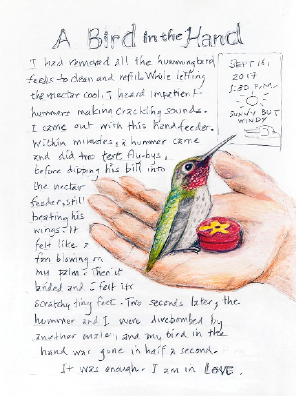 The Backyard Bird Chronicles by Amy Tan