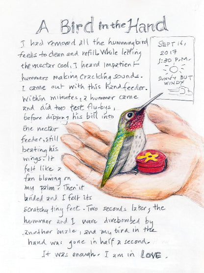 The Backyard Bird Chronicles by Amy Tan