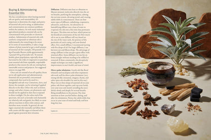 The Plant Medicine Protocol: Unlocking the Power of Plants for Optimal Health and Longevity: Unlocking the Power of Plants for Optimal Health and Longevity