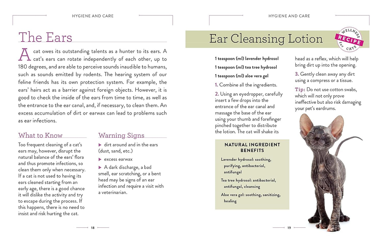 Wellness for Cats: A Guide for Health, Hygiene, and Happiness